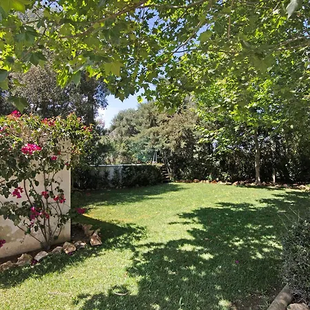 Quinta De Loubite - Jacaranda לגואה